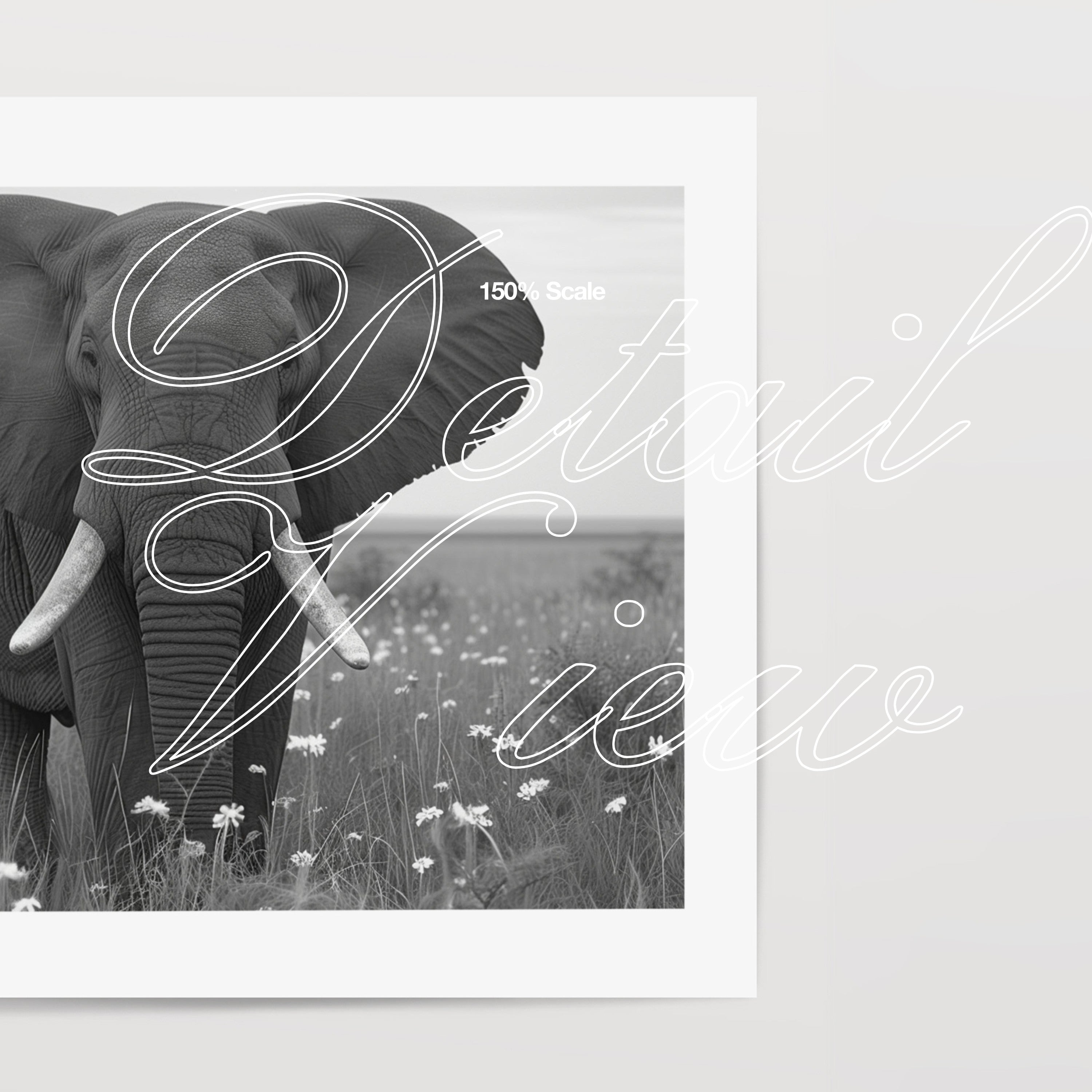 HH169 | 5:4 Paper Mockup