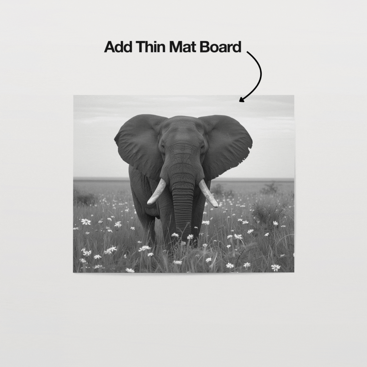 HH169 | 5:4 Paper Mockup