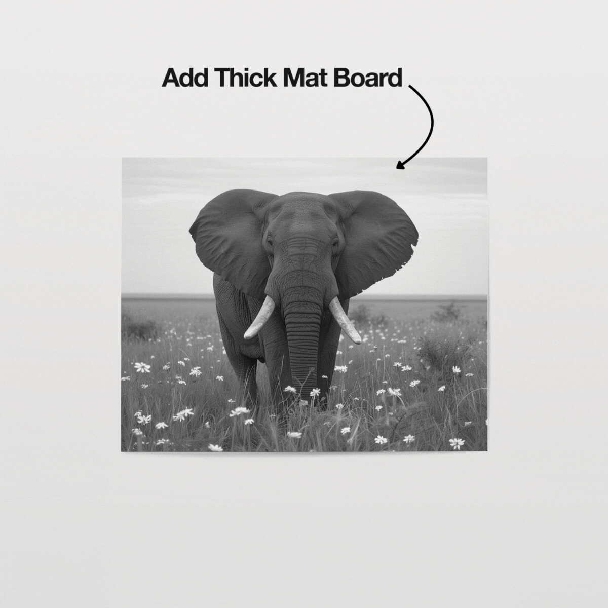 HH169 | 5:4 Paper Mockup